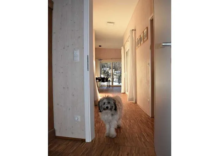 Feriehus House Lammersdorf